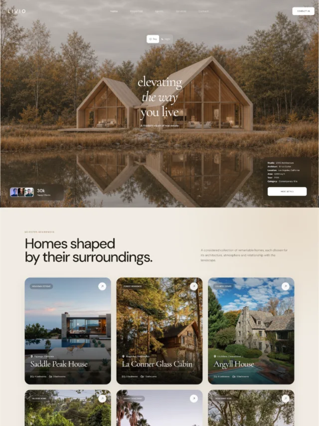 Livio website concept preview
